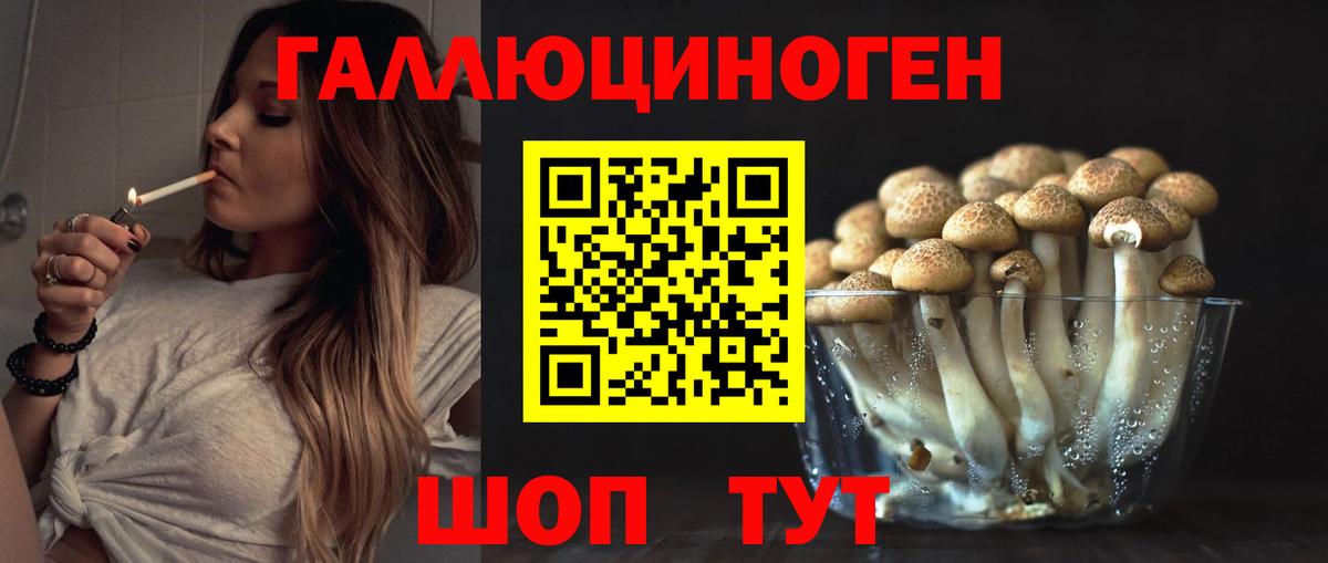Галлюциногенные грибы GOLDEN TEACHER  Вход с VPN  Галлюциногенные грибы мухоморы  Татарск 